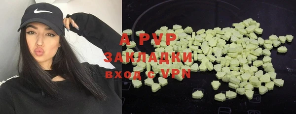 таблы Алзамай