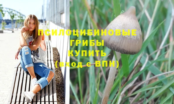 Альфа ПВП Алексин