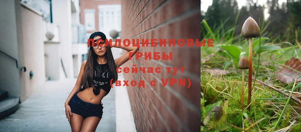 таблы Алзамай