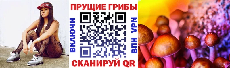 Псилоцибиновые грибы Magic Shrooms  Ардон 